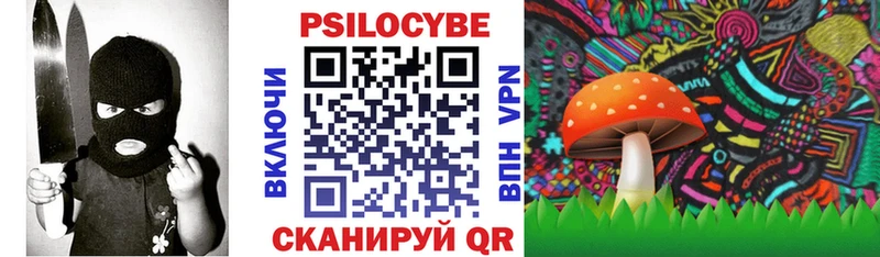 Купить закладки  Заречный  Псилоцибиновые грибы MAGIC MUSHROOMS 